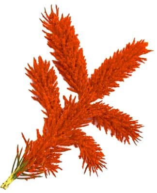 Orange Colored Flock, Self-Adhesive, Cotton Blend, 25lb bag