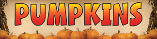 Banner 3'x12' "Pumpkins"