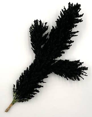 Black Colored Flock, Self Adhesive Cotton Blend, 25lb bag