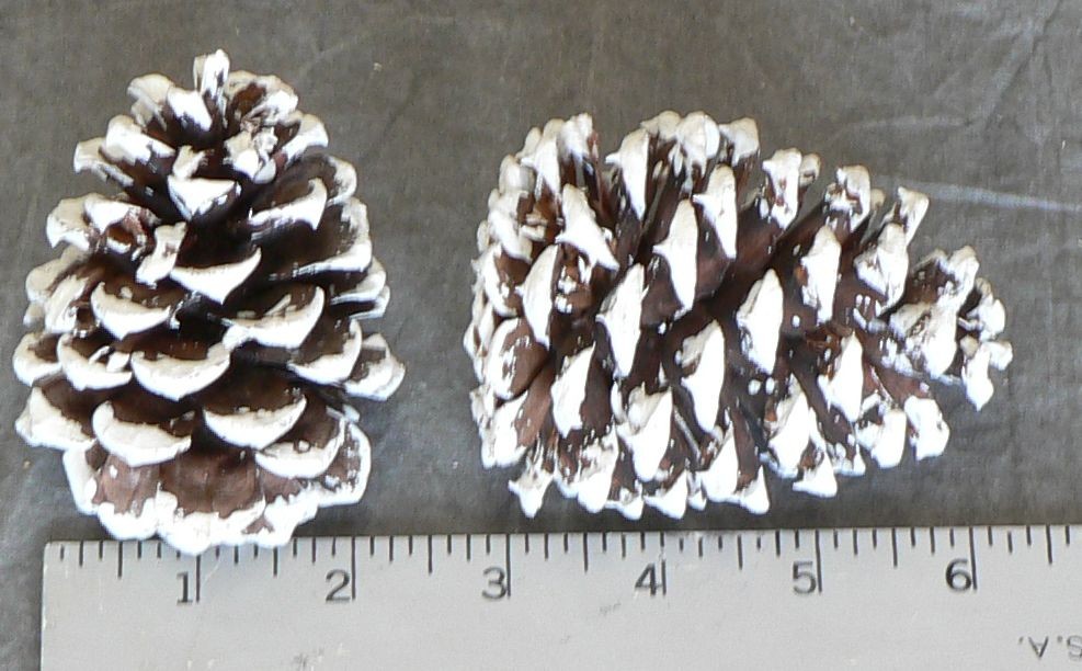Afloral 12 Pieces - White Tipped Pine Cone Pick - 11 Tall