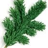 Green Colored Flock, Self-Adhesive, Cotton Blend, 25lb bag