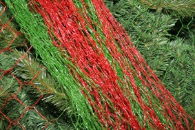  Pursell Manufacturing Christmas Tree Disposal and