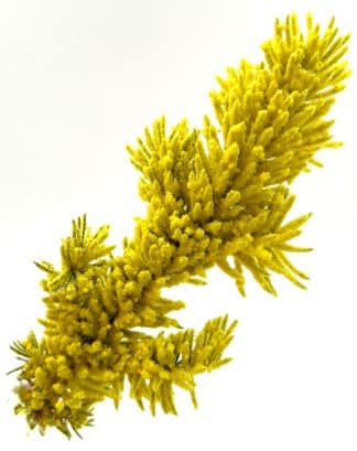 Yellow Colored Flock, Self-Adhesive, Cotton Blend, 25lb bag