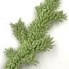 Lime Green Colored Flock, Self-Adhesive, Cotton Blend, 25lb bag