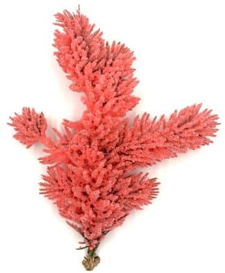 Pink Colored Flock, Self-Adhesive, Cotton Blend, 25lb bag