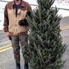 EZ Grip 6 Stand, 16.75" diameter or 5-7 foot trees (priced per stand) - Image 3