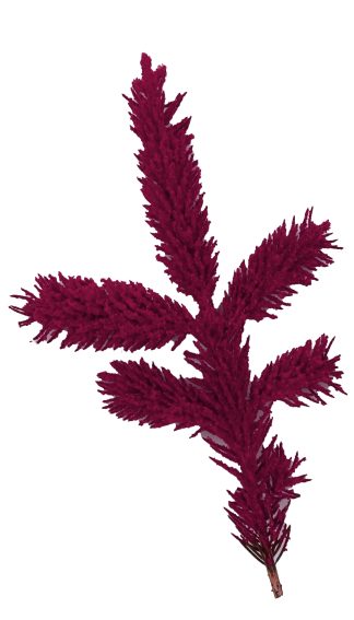 Maroon Colored Flock, Self-Adhesive, Cotton Blend, 25lb bag