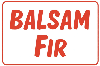 Post Sign Balsam, 24"x18"